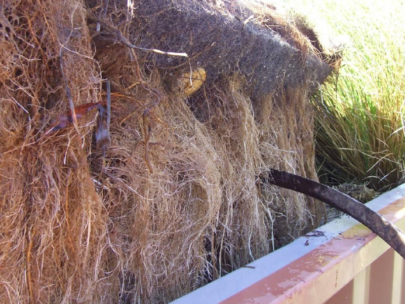 百奧源&reg;浮動濕地根系發(fā)達，密度大大高于人工濕地